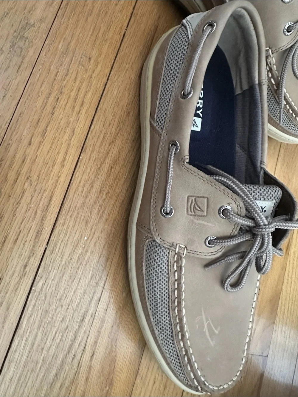 Sperry classic two